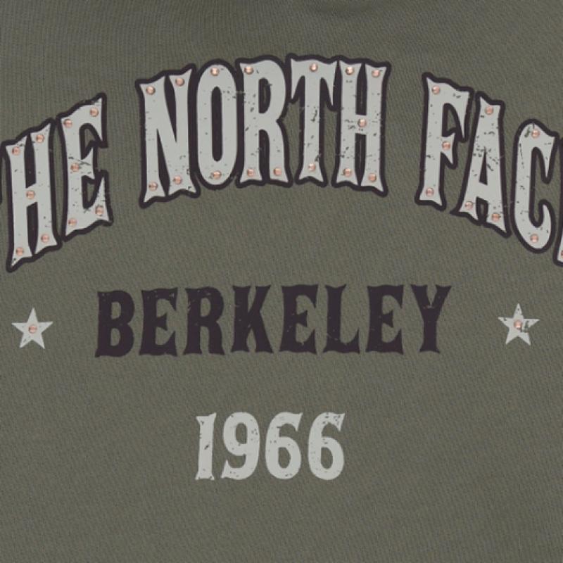 The North Face Vintage Hoodie Pullover White Nm5pr53m