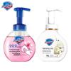 Safeguard Foaming Hand Wash Twin Pack (Camellia & Cherry Blossom)