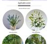 Artificial Eucalyptus Leaves for Floral Arrangements and Landscaping