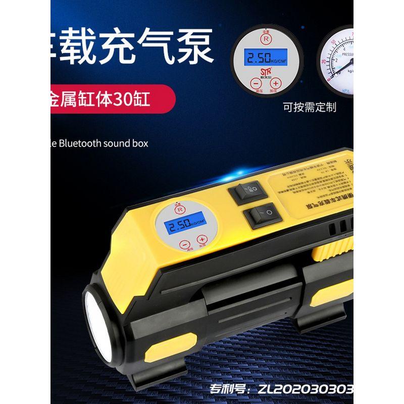 

German Japan Import Technology Portable Handheld Vehicle Air Pump Led Nightscape Lighting Car Air Pump Wheel 010 Wired Pointer Air Pump