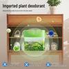 Netease Yanxuan Shoe Deodorizer Box