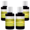 Calamus Root Extract Tincture Herbal Liquid Supplement Dietary New Life