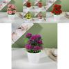 Künstlicher Blumentopf mit 12 Ballchrysanthemen zur Heimdekoration und als Geschenk