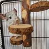 Yousheng Chinchilla Stojan Cvičení Trénink Hřiště Přírodní Dřevo Malý Zvířecí Šplhací Platforma Domácí Mazlíček