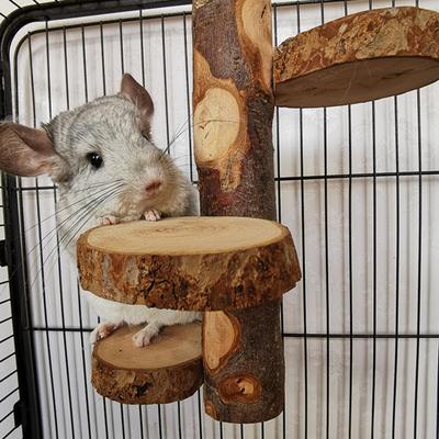 Yousheng Chinchilla Stand Exercise Training Play Ground Natural Wood Small Animal Climbing Platform Pet