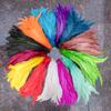 50/100pcs 25-30cm Rooster Feather Wedding Crafts DIY Natural Feather Handwork Party Plume Carnival Headwear Decoration