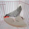1 Stück Vogel Papagei Holz Plattform Ständer Rack Spielzeug Hamster Ast Sitzstangen Für Vogelkäfig Spielzeug Haustierbedarf