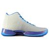 Jordan XX9 Playoff Pack Home 749143-104