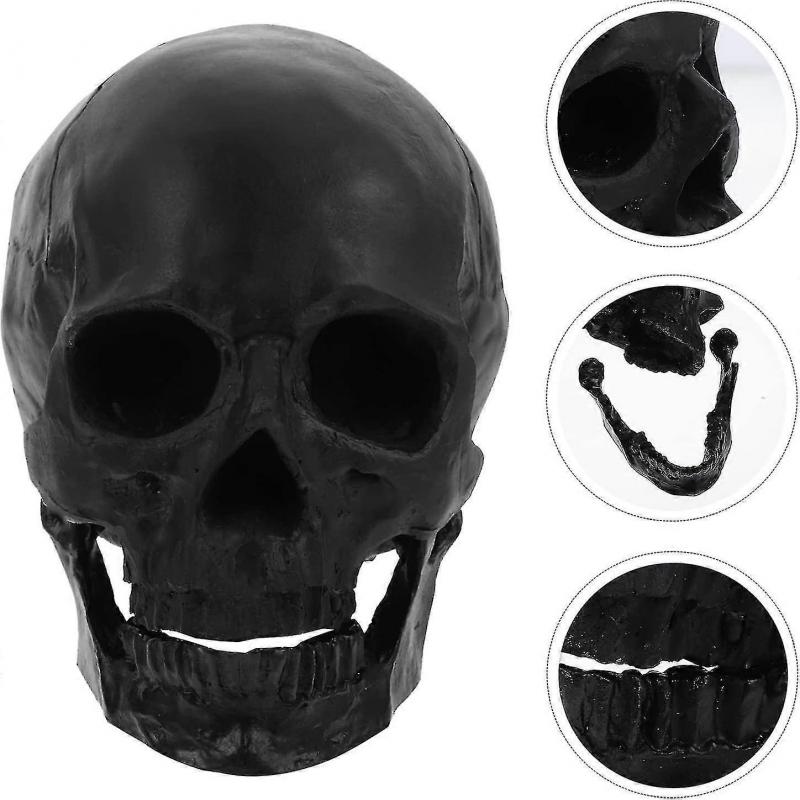 Halloween Decorations Halloween Skeleton Model Halloween Skeleton Head Human Skull Model Skeleton Collectible Figurines Human Skull Head1pcsblack