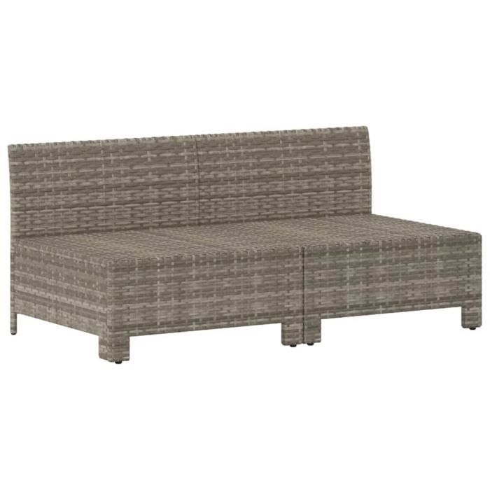 VidaXL Canapé de jardin 2 places avec coussins Gris Résine tressée 362691