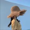 Hat Versatile Style Straw Woven Tassel Brimmed Womens Sunshade Hatscaps