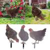 3Pcs Rooster Garden Stake Acrylic Colorful Lifelike Weather Proof Chicken Yard Stake Statue Decorati