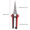 Stainless Steel Pruning Shears Sharp Branch Scissors with Non Slip Handle for Garden Fruit Tree Trimming Tools
