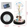 LED Enchanted Galaxy Rose Eternal Beauty And The Beast Rose With Fairy Lights In Dome Christmas Valentine's Day Gifts for Women