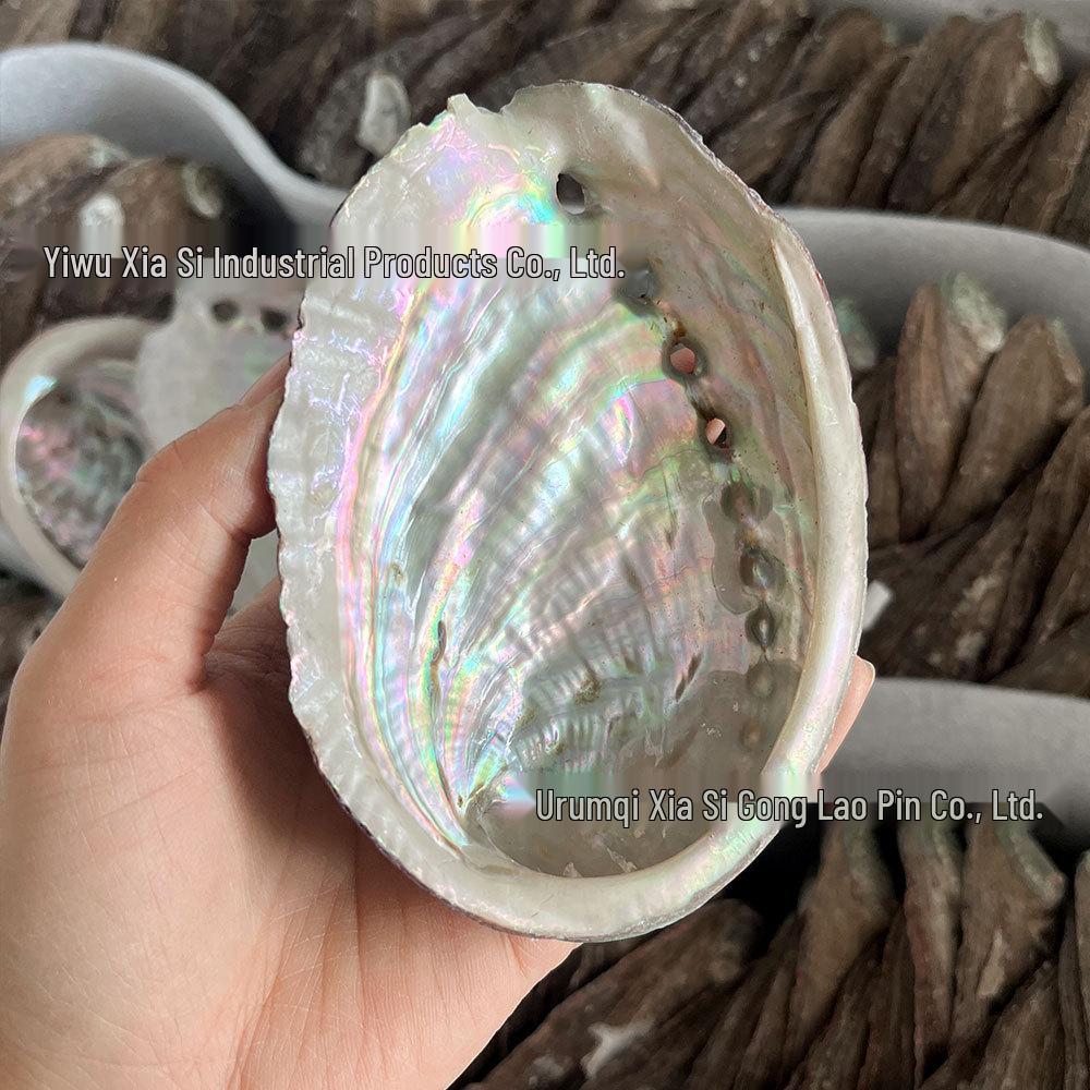 Abalone Shell Sage Incense Burner - Natural Pearl Decorative Piece for Home