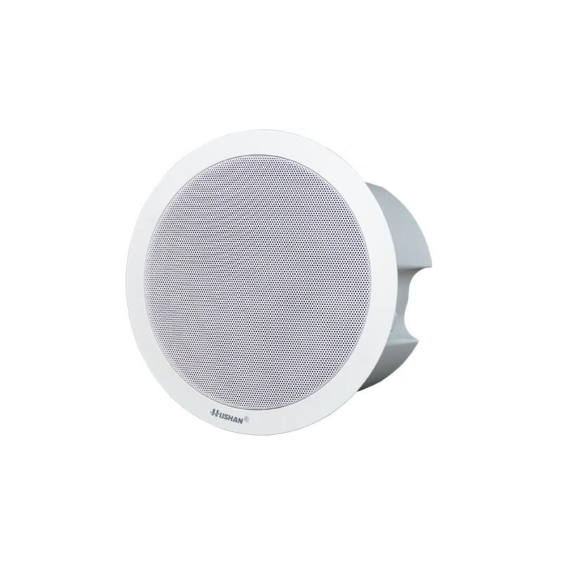 Hushan AGX30 Two-Way Coaxial Ceiling Speaker CN Plug (adapter Included)