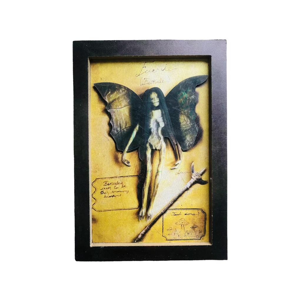 

Ужасающая мумифицированная фея, витрина, создающая жуткую атмосферу, сплошная мумифицированная фоторамка b