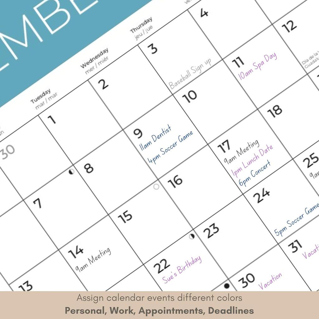 Sea Animals Wall Calendar | Sea Life Calendar | 12" x 24" Open | Giftable Calendar 2026 | Thick & Sturdy Paper for Organizing & Planning | Pacific