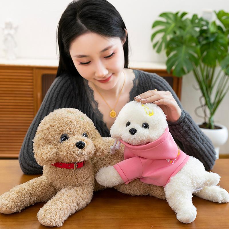 Hoodie Teddy Dog Plush Toy Cute Cartoon Collar Animal Doll Girl Gift Birthday