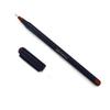 Pentonic Multicolor Ball Pen Pack of 1 X 10pcs 0.7mm And 1.0mm Tips Smooth Writing Pens For Office School And Daily Use