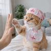Chats – Tenues pour chats