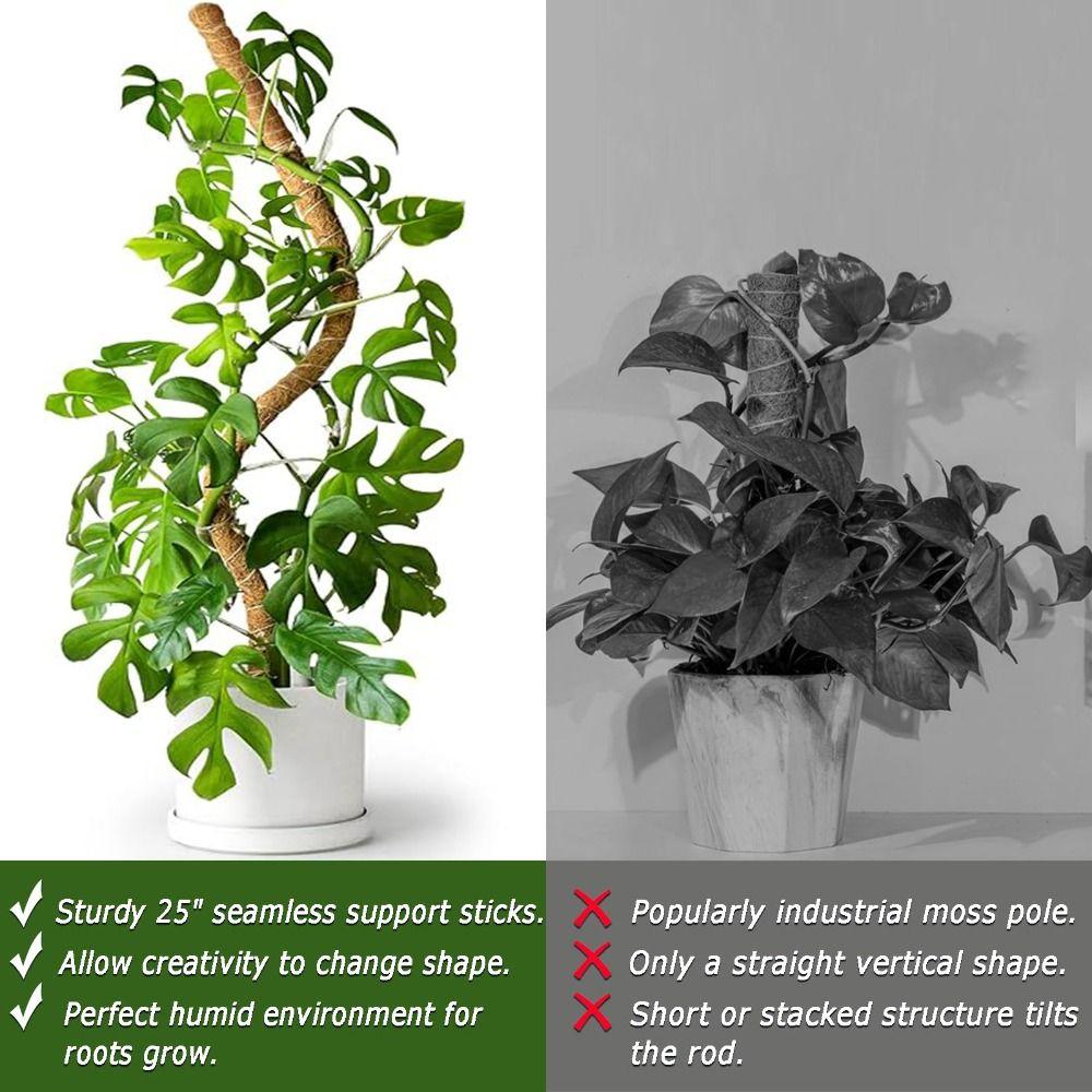 Plant Support Bendable Moss Pole Handmade Natural Material Garden Trellis Eco-Friendly Plant Support Stakes Climbing Plants