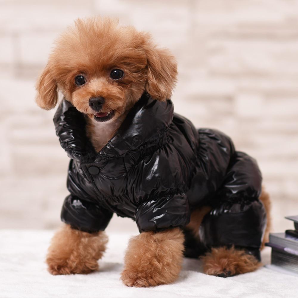 down jacket dog