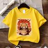 Kids Panda Noodle Bowl Print Crewneck Short Sleeve Tee, Spring Summer Casual Travel Top