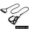 Adjustable Dog Leash and Collar Set for Small, Medium, and Large Dogs - Ideal for Walking Pets like Teddy and Golden Retriever