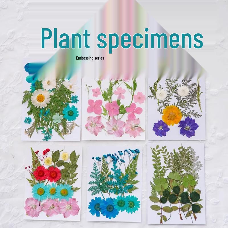 Handmade Pressed Flower Bookmark and Epoxy Sticker Pack with Real Leaf and Plant Specimens for DIY Face Makeup.
