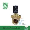 Italy Ode 24V Solenoid Valve 21W4ZB250 - Two-Position, Two-Way, Normally Closed.
