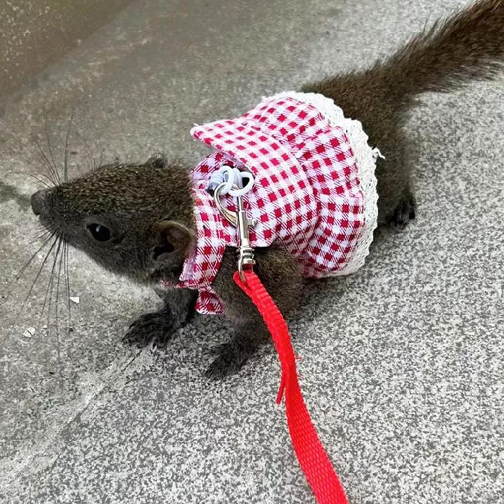 Bunny Harness Small Animal Walking Dress Strap Breathable Small Animal Clothes with Leading Rope for Training Outdoors Backyard