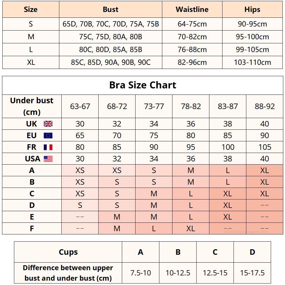 Women Sexy Lingerie Lace Transparent Underwear Set Bikini Floral Embroidery Bra Panties Sets Push Up Bra Fancy Erotic Sleepwear