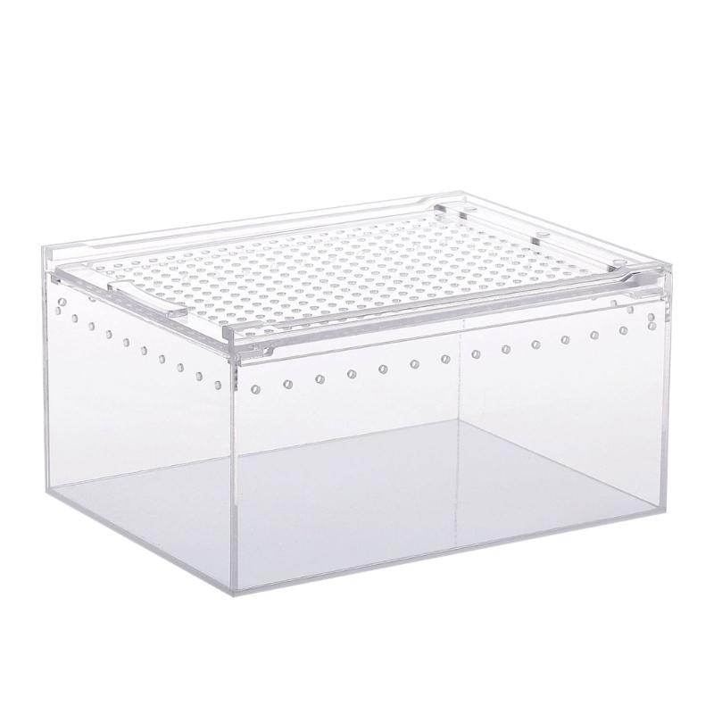 Reptile Box Feeding Small Pet Horned Spider Lizards Snail Snake Clear Designed Box Geckos Silkworms Insect Snake House
