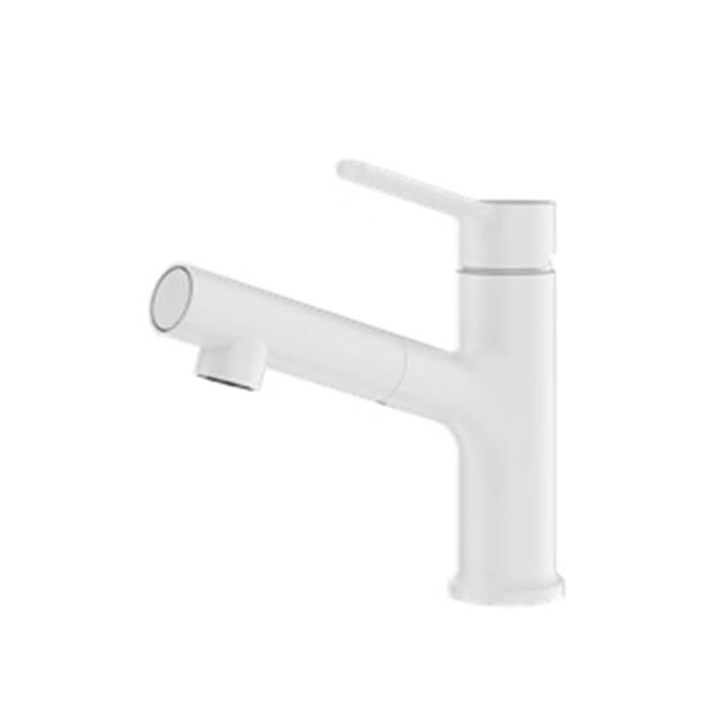 Arrow AD4140MW Pull-Out Basin Faucet with Mouthwash Function