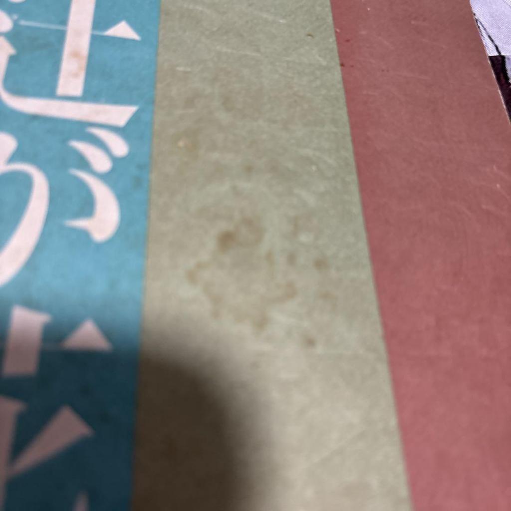 [USED] Taketsujigahana/Kofu Art Book