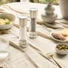 Cole & Mason Salt & Pepper Mill Gift Set, Derwent Stainless Steel & Acrylic, Premium Mill, British Brand, Seasoning Grinder