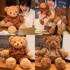 Cartoon Bear Plush Toy With Hoodie For Kids And Collectors