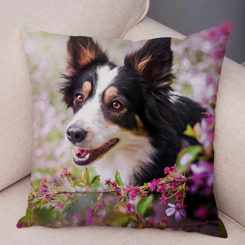 Cute Scottish Border Collie Pillowcase Dog Print  Decor Pet Animal Cushion Cover Sofa