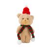 Peluche Ourson Décoration Florale & Porte-clés Ensemble Cadeau