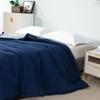 Guroo Home Textile Skin-Friendly 2-in-1 Four Seasons Duvet