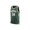 Dri-FIT NBA Milwaukee Bucks Icon Edition 22/23 Swingman Basketball Jersey 'Giannis Antetokounmpo' Men's DN2012-323