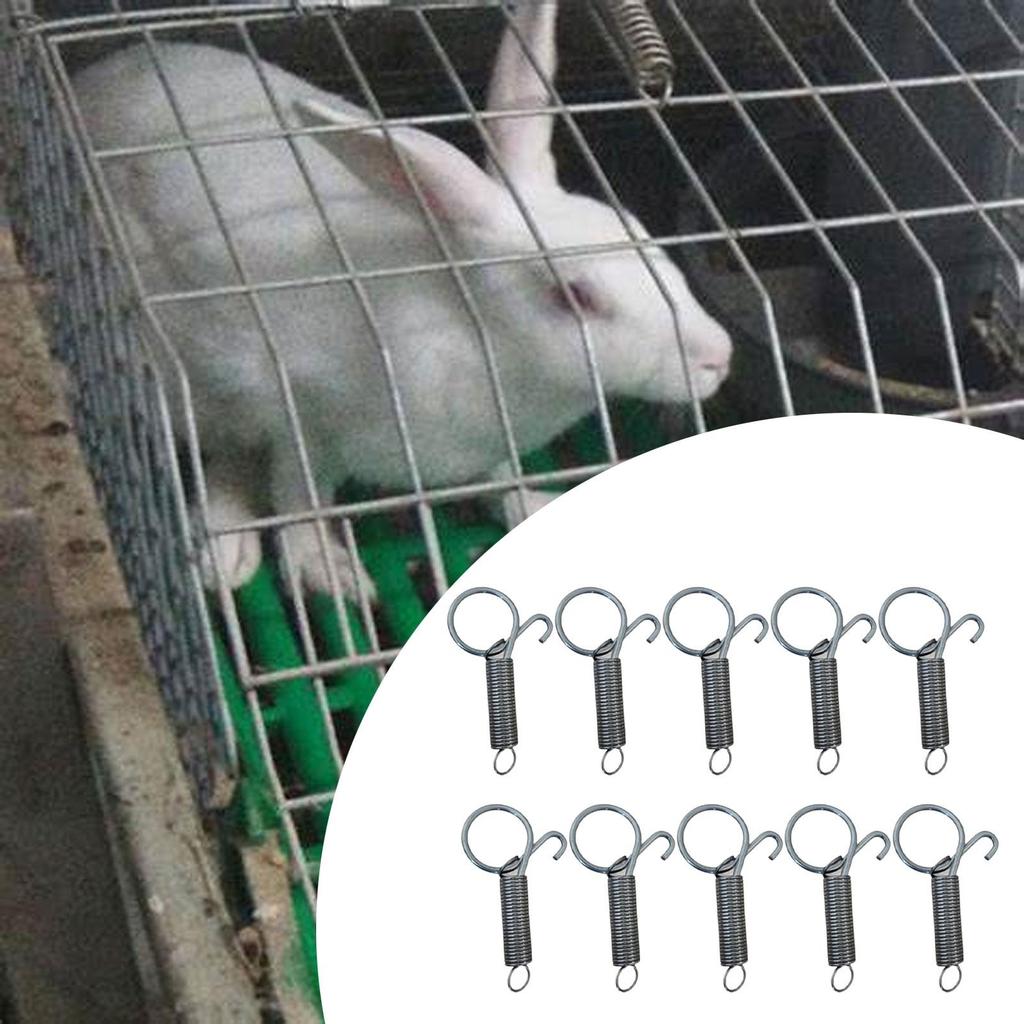 100x Käfigtür Federhaken Federkäfig Riegel Schlösser Stabile Metall Stahlringe für Eichhörnchen Chinchilla Lebensräume Häuser Gehege