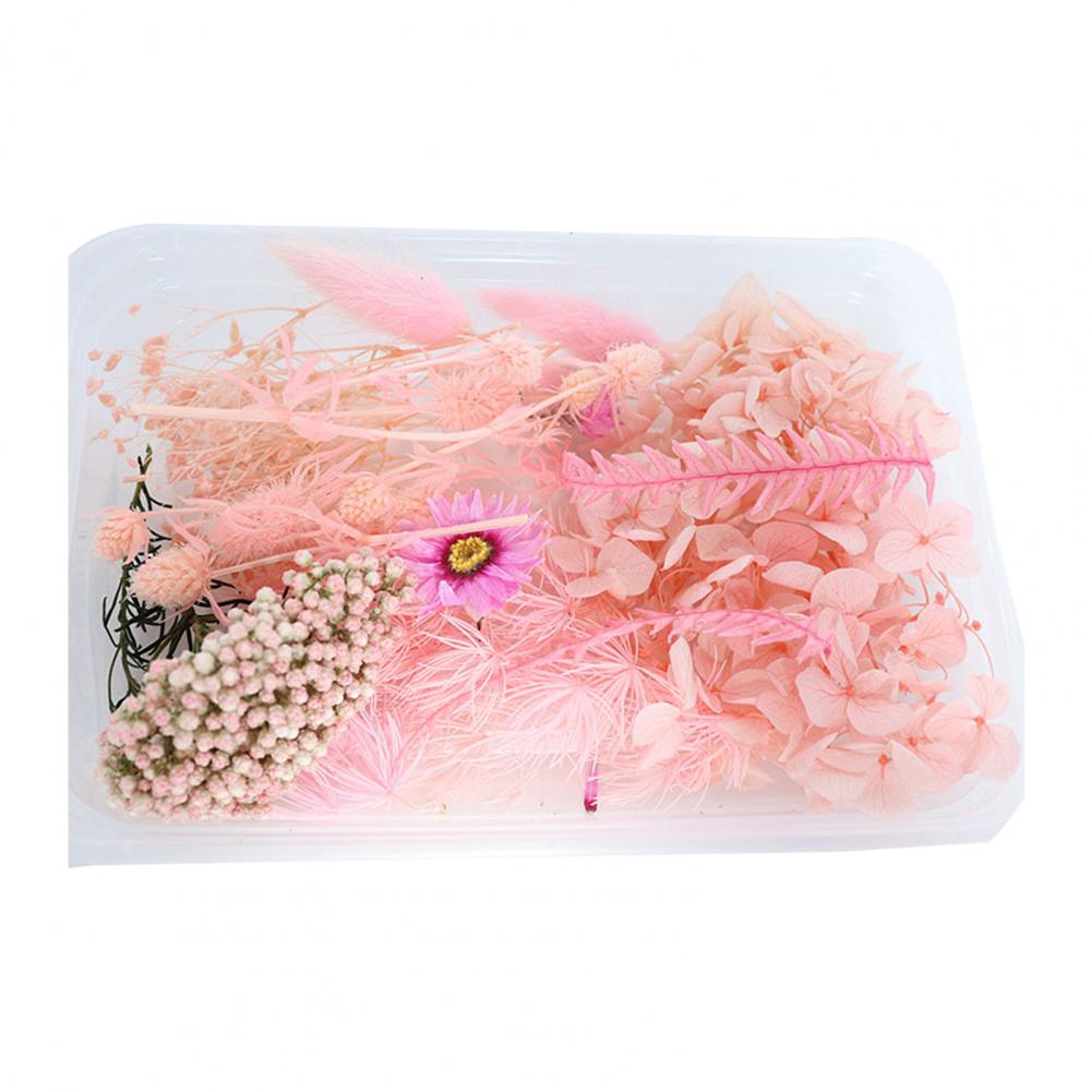 1 Box DIY Aromatherapy Candle Molds Dried Flowers Dry Plants Preserved Flower for Epoxy Resin Casting Mold Crafts Tools