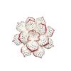 Korean-Style Lotus Water Lily Plush Toy - Succulent Good Luck Home Back Cushion