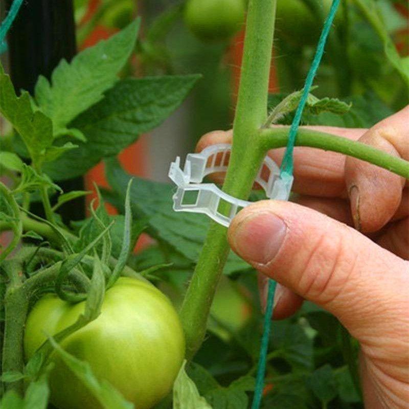 50X Tomato Clips Supports Connector Plants Vines Trellis Twine Cages Garden 50X Tomato Clips Supports Connector Plants Vines Trellis Twine Cages Garden