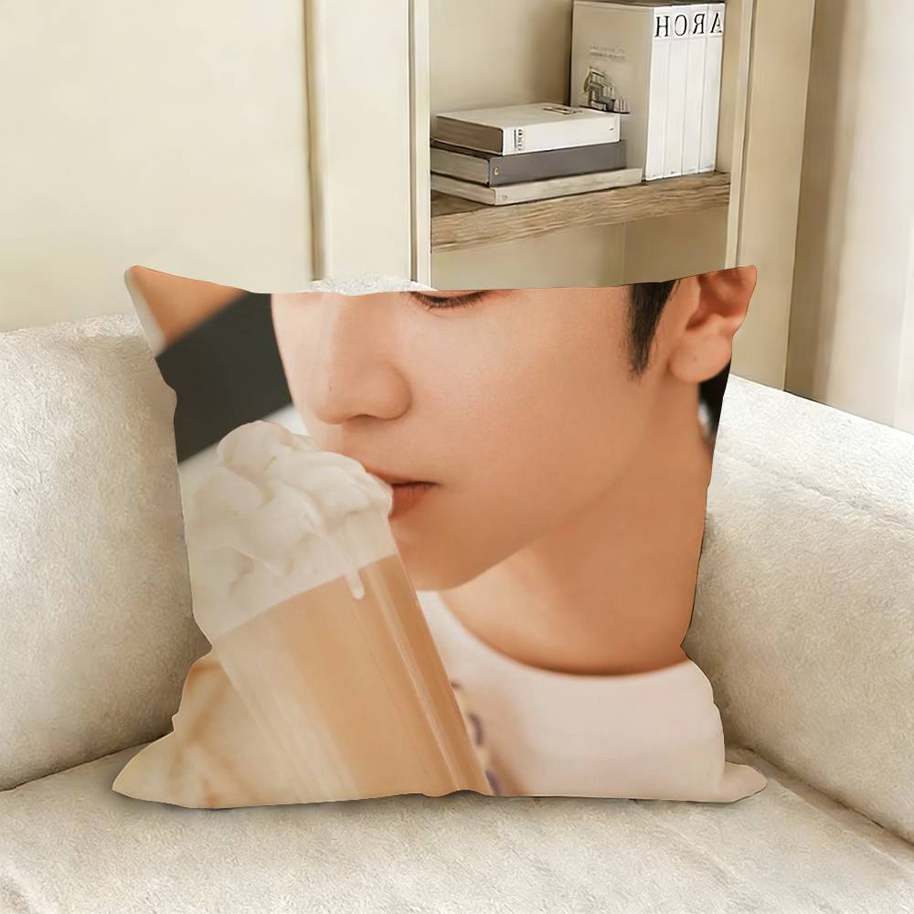 Chen Zheyuan Duan Jiaxu Various Sizes Square Pillow Case For Car Home Bedchamber Decor 30x30cm