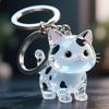 Cute Cat & Dog Fur Keychain Pendant - Creative Transparent Souvenir Gift