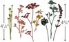 Sizzix Thinlits Wildflower Embossing Stencil Set for Die Cutting [Used]