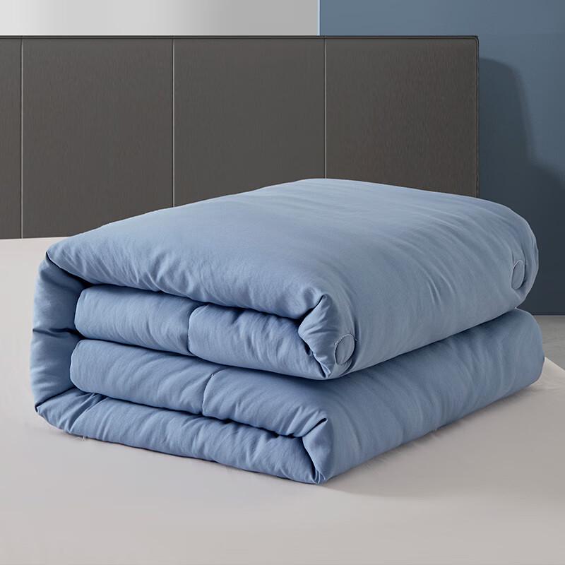 Tangna Elegant Soft Cloud All-Season Quilt